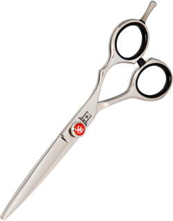 OISHI Ciseaux de Coiffure Professionnels