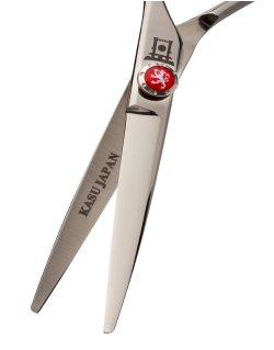 OISHI Professional Hairdressing Cutting Scissors